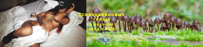 Псилоцибиновые грибы MAGIC MUSHROOMS  Новоаннинский 